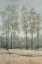 Picture of A WOODLAND WALK II