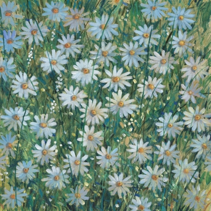 Picture of A FIELD OF DAISIES I