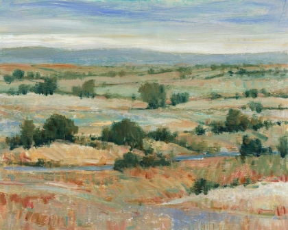 Picture of BACK COUNTRY I