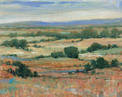 Picture of BACK COUNTRY II