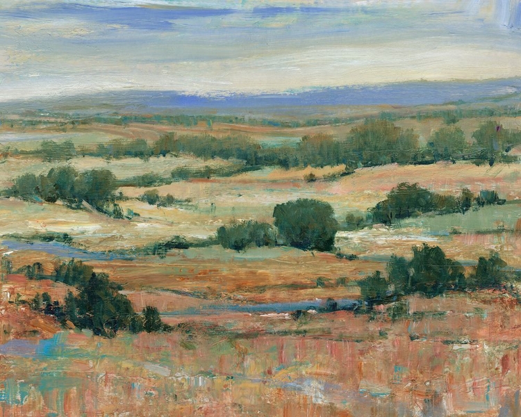 Picture of BACK COUNTRY II