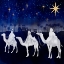 Picture of MIDNIGHT STAR OF BETHLEHEM II