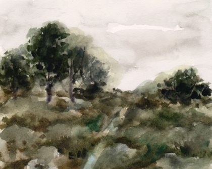 Picture of AFTER A RAIN I