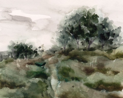Picture of AFTER A RAIN II