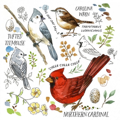 Picture of DRAWN TO BIRDS II