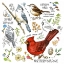 Picture of DRAWN TO BIRDS II