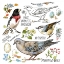 Picture of DRAWN TO BIRDS V