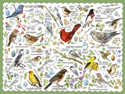 Picture of DRAWN TO BIRDS VII
