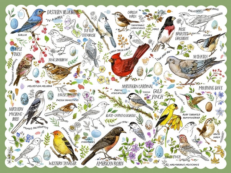 Picture of DRAWN TO BIRDS VII