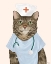 Picture of NURSE CAT