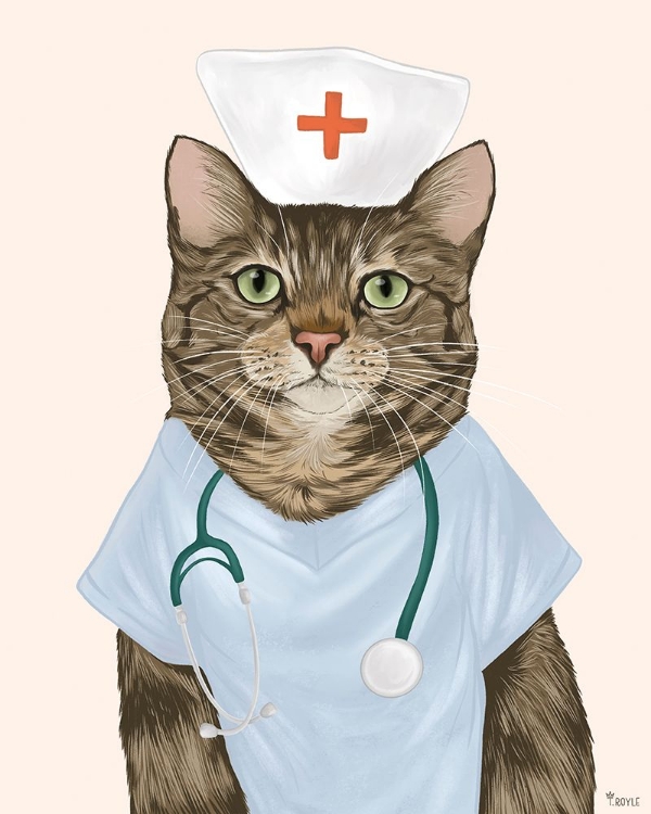 Picture of NURSE CAT