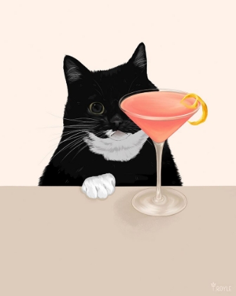 Picture of COSMO CAT