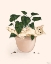 Picture of HAPPY GARDENING I