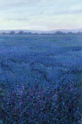 Picture of BLUE DAY BREAK I