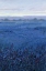 Picture of BLUE DAY BREAK II