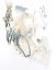 Picture of NEURON CHARGE I