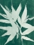 Picture of WATER PALM FOSSIL III