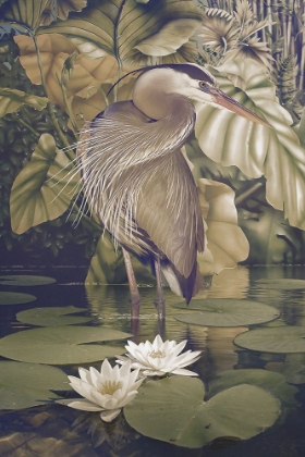 Picture of SPLENDED PLUMAGE