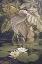 Picture of SPLENDED PLUMAGE