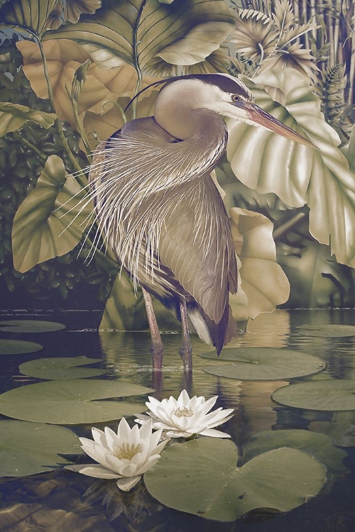 Picture of SPLENDED PLUMAGE