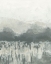 Picture of GRAY MIST MEADOW II