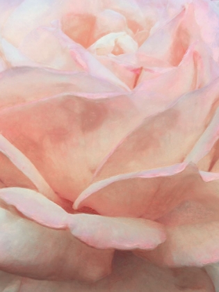 Picture of SOFT FLOWER PETALS I