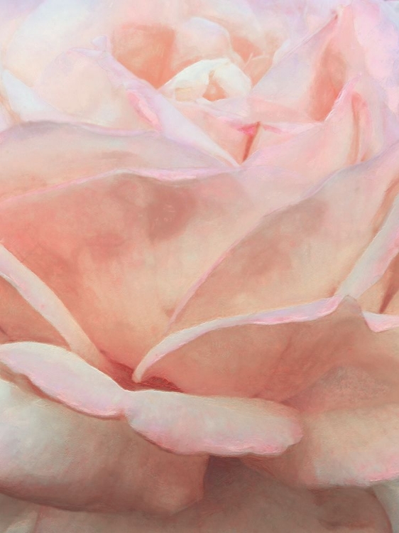 Picture of SOFT FLOWER PETALS I