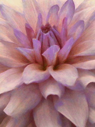 Picture of SOFT FLOWER PETALS II