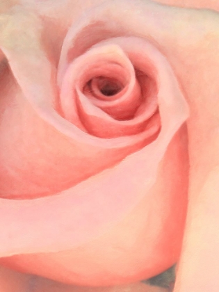Picture of SOFT FLOWER PETALS III