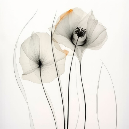 Picture of BLOOMING SYMPHONY I
