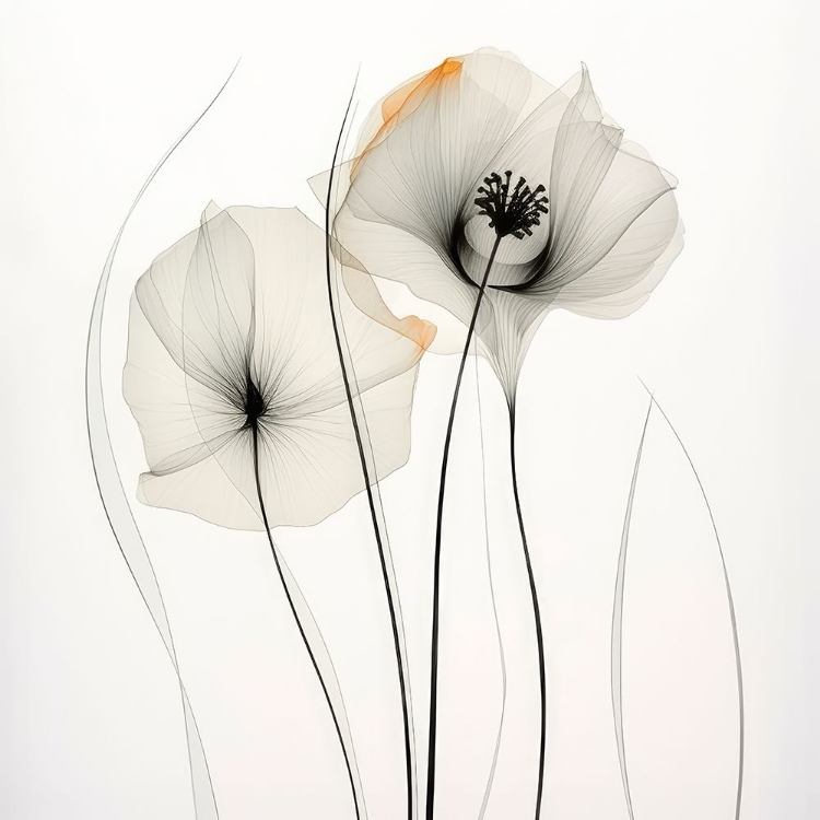 Picture of BLOOMING SYMPHONY I