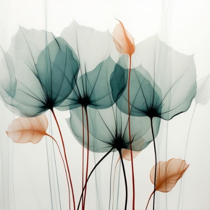 Picture of BLOOMING SYMPHONY III