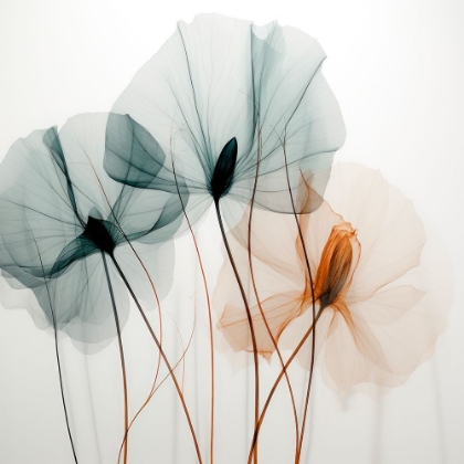Picture of BLOOMING SYMPHONY IV