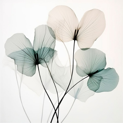 Picture of BLOOMING SYMPHONY V