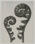 Picture of CUSTOM BLOSSFELDT FERN I