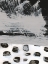 Picture of POLKA I