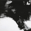Picture of IMPACT IV