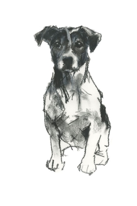 Picture of DOGGY EXPRESSIONS I