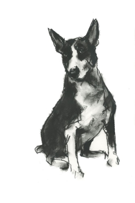 Picture of DOGGY EXPRESSIONS II