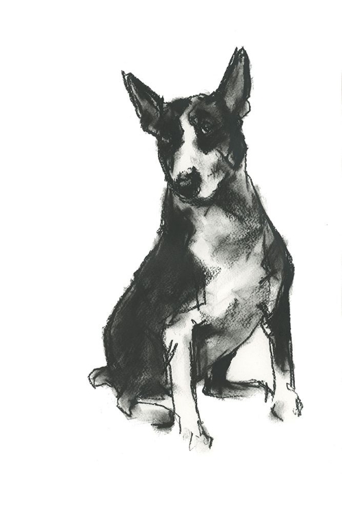 Picture of DOGGY EXPRESSIONS II