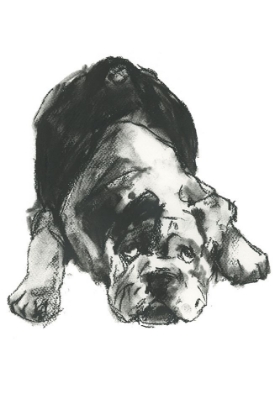 Picture of DOGGY EXPRESSIONS III