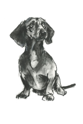 Picture of DOGGY EXPRESSIONS IV