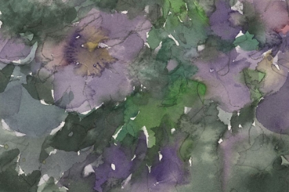 Picture of LANGUAGE OF VIOLETS II