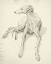Picture of GREYHOUND ON PARCHMENT II