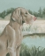 Picture of DOVE DOGS I