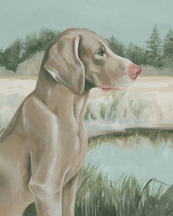 Picture of DOVE DOGS I