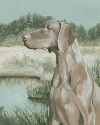 Picture of DOVE DOGS II