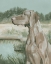 Picture of DOVE DOGS II