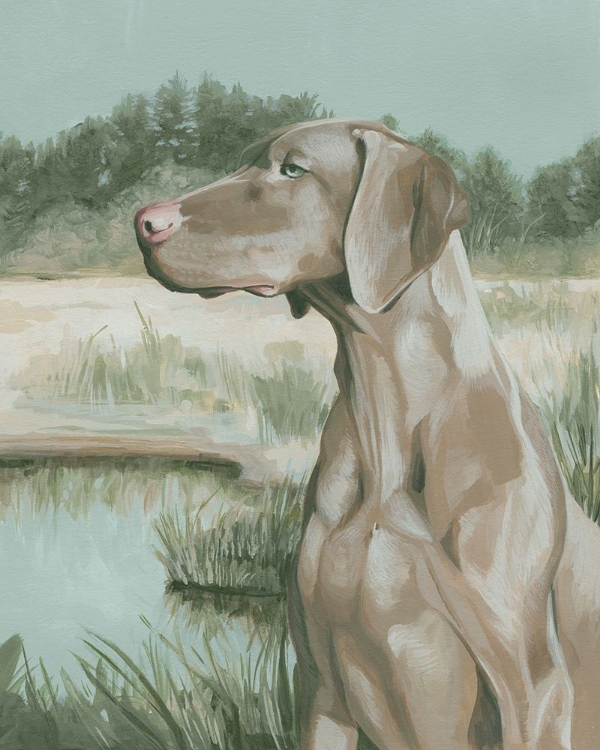 Picture of DOVE DOGS II