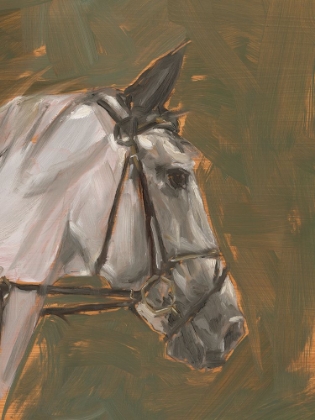 Picture of ANTIQUE HORSE STUDY I